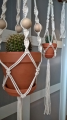 WP_20180209_15_32_22_Rich.jpg