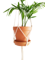 IMG_20190918_202349-removebg-preview.png