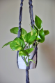 Kwietnik 051 - love2rope - ww_shoplight_pl - 2.jpg