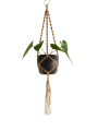 IMG_20200117_151226-removebg-preview.png